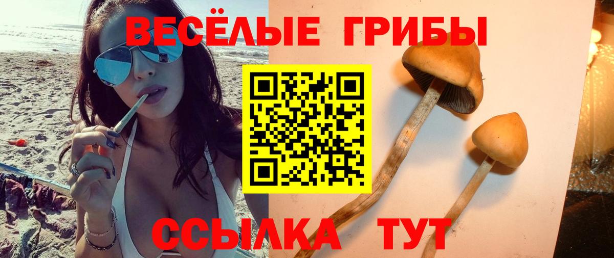 Махачкала  где можно купить   Галлюциногенные грибы прущие грибы  Вход с VPN  Псилоцибиновые грибы мухоморы 