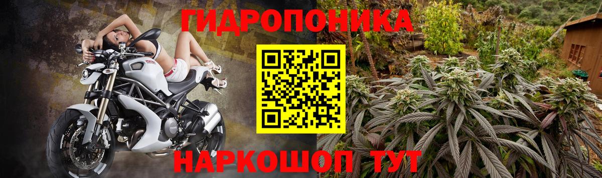 Бошки марихуана тримм  Шишки марихуана VHQ  Вход с VPN  Махачкала  Конопля White Widow 